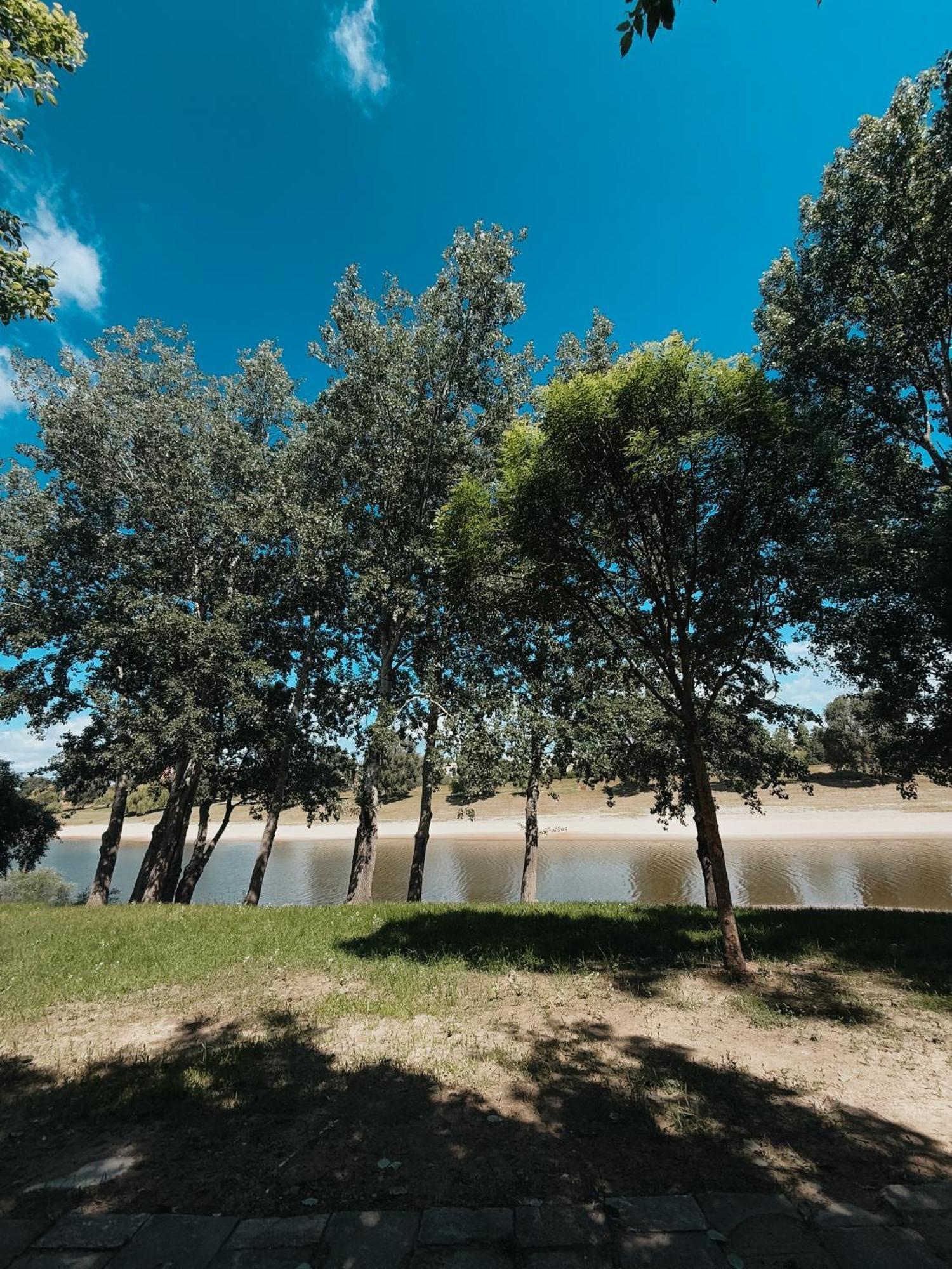 Sobri Halászcsárda és Panzió Baja Esterno foto
