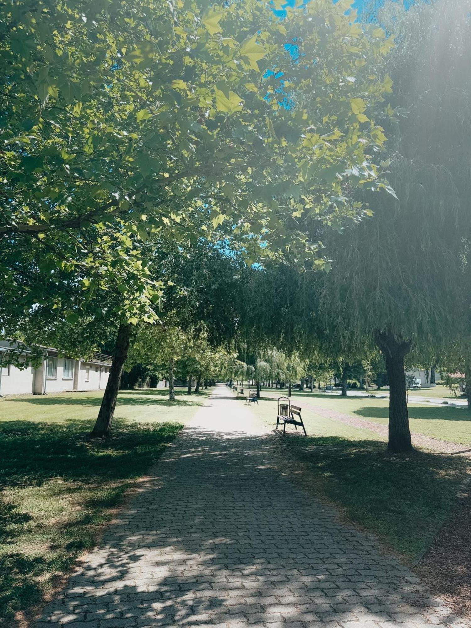 Sobri Halászcsárda és Panzió Baja Esterno foto